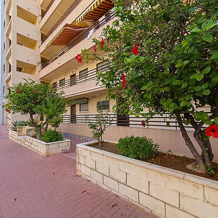 Апартаменты Miramar Magic Sea & Sunrise View Торевьиа