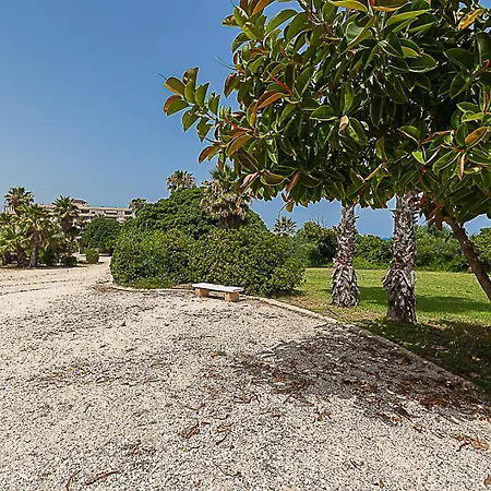 Miramar Magic Sea & Sunrise View *